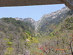 泰山