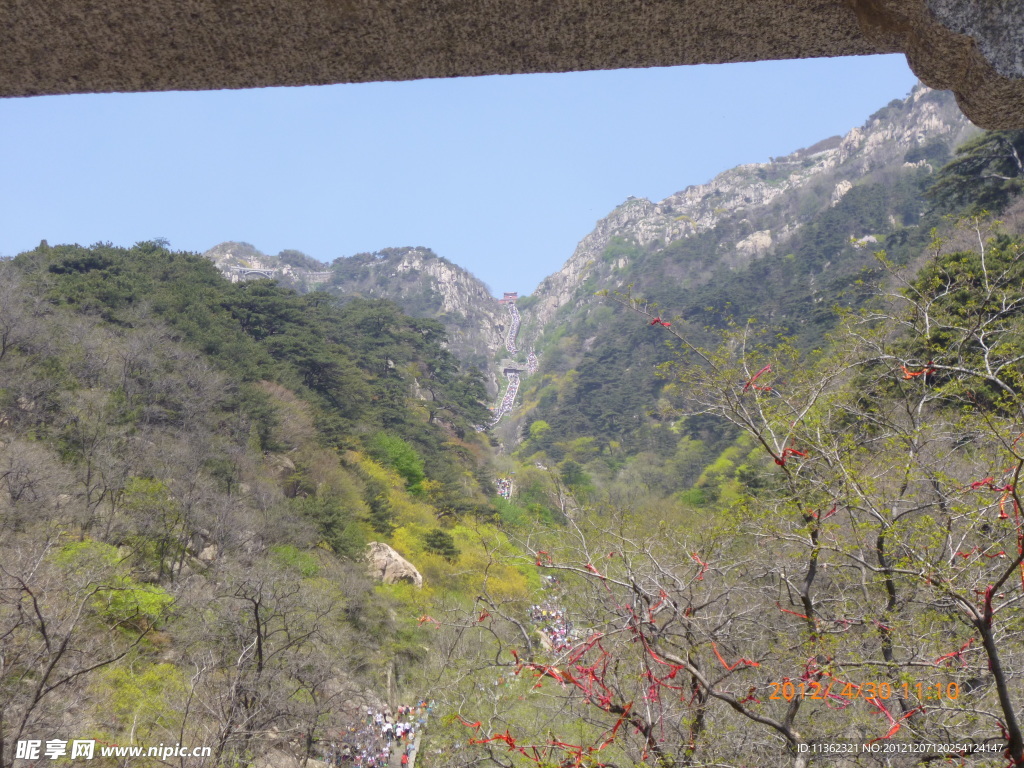 泰山