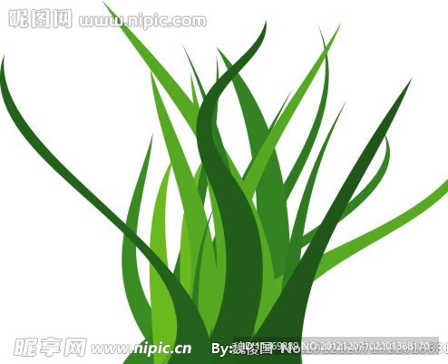 绿草