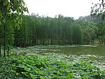 湖泊