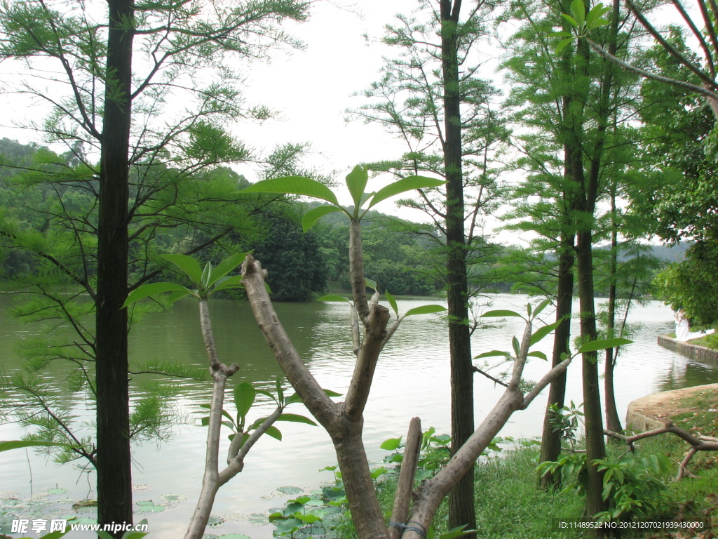 湖泊