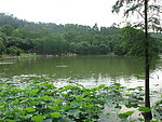 河湖景色