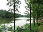 湖泊