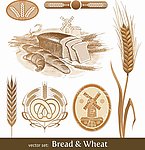 小麦面包标签