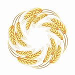 动感麦穗圈圈