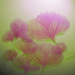 梦幻花纹