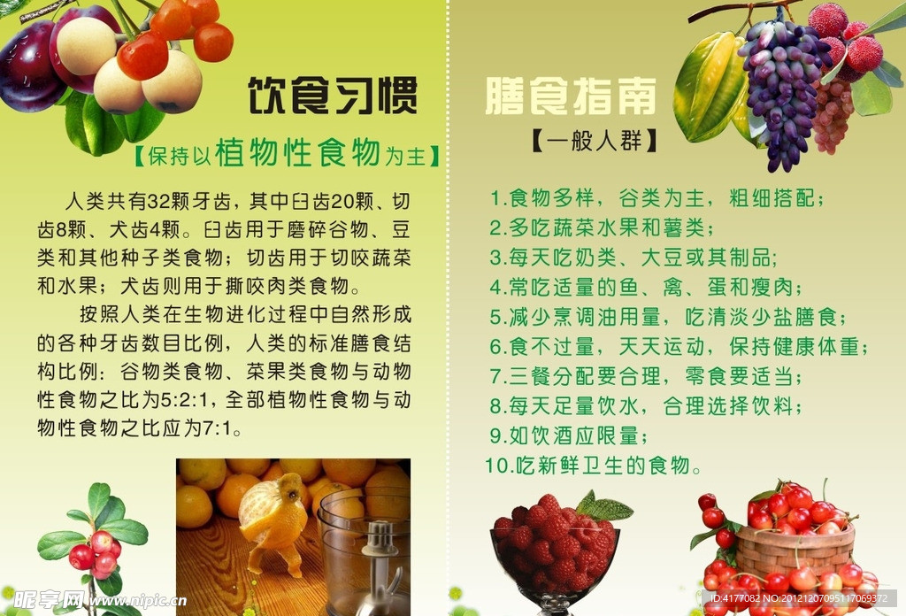 膳食指南