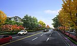 城市道路树林别墅