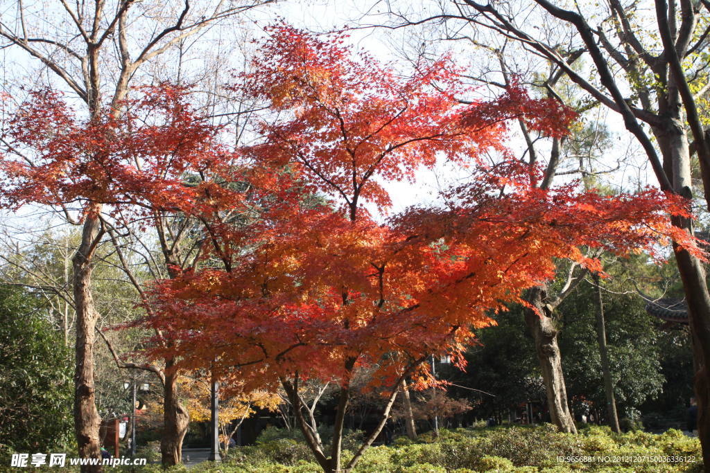 杭州灵隐寺