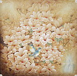 工笔玉兰