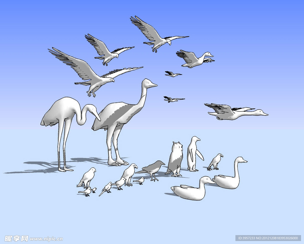 飞禽鸟类3D模型