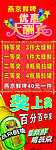 燕京鲜啤X展架