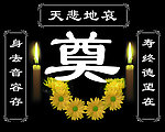 奠字