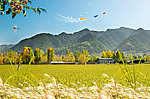 新农村
