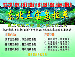乌拉草广告板