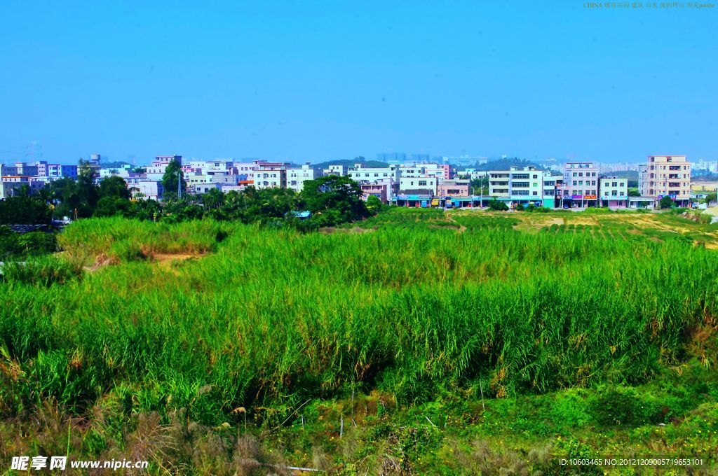 城市田园 绿草悠悠