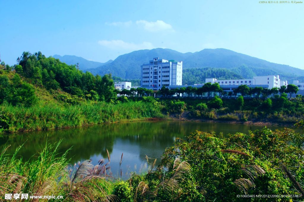 城市山水 绿色坪山