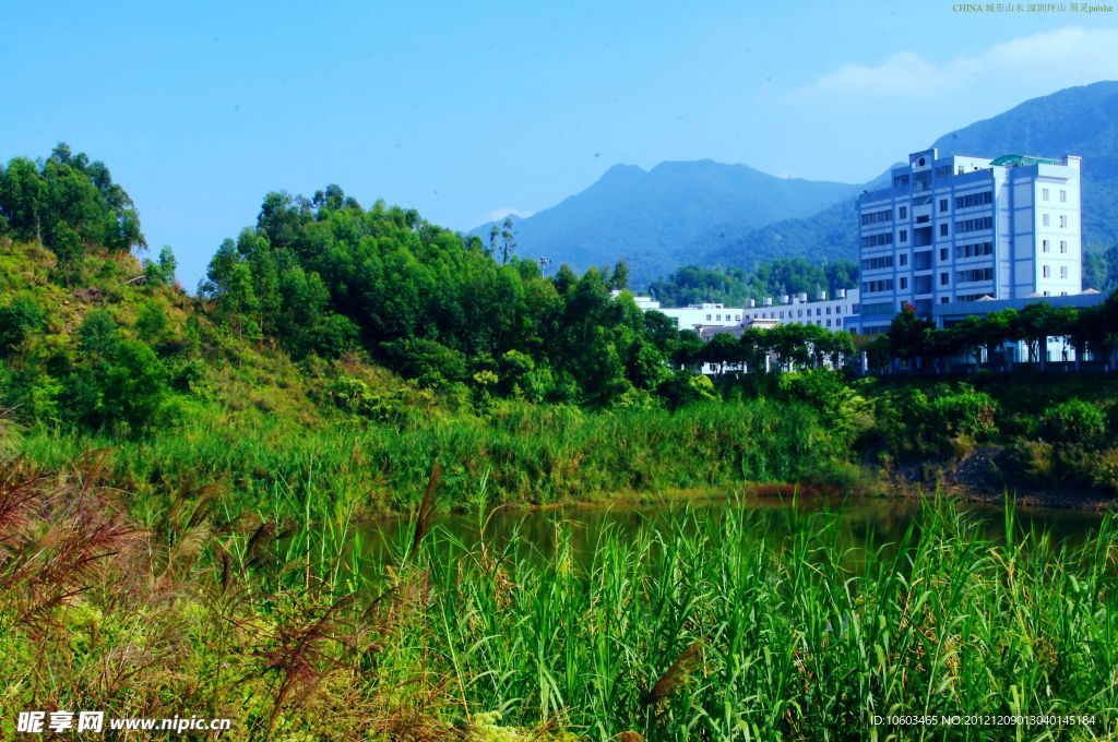 城市山水 绿色池塘