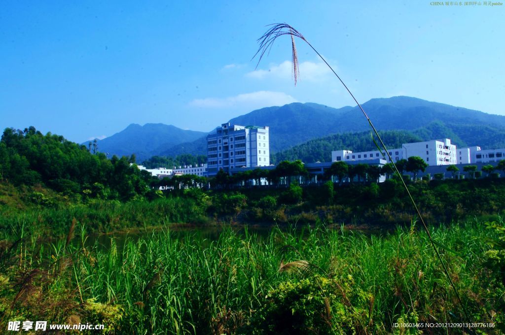 城市山水 绿色坪山