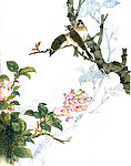 国画花鸟