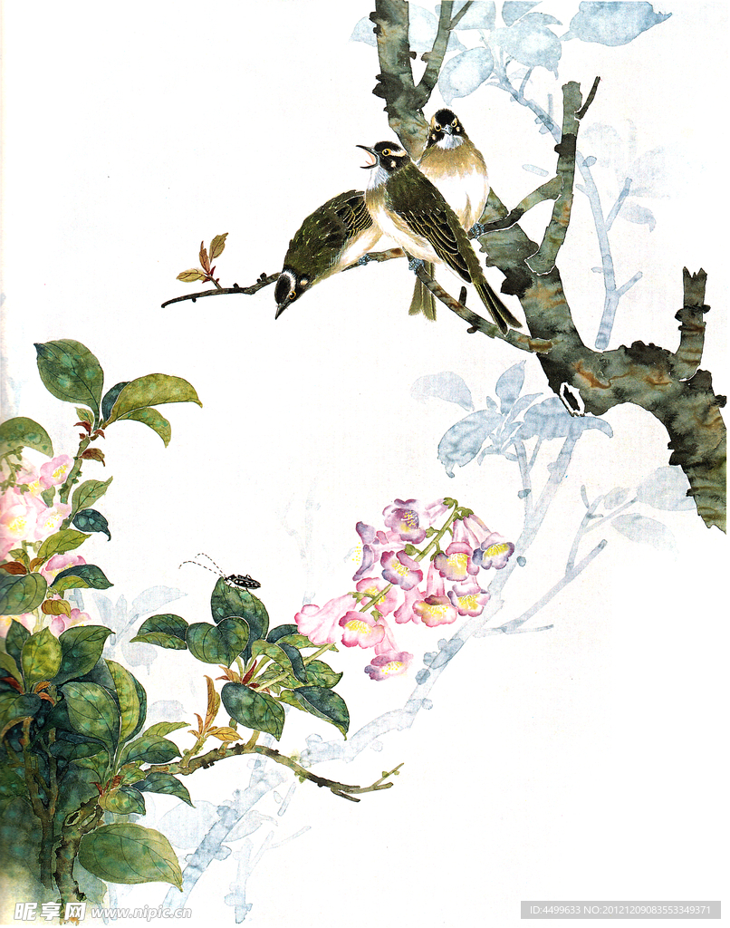 国画花鸟