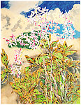 兰花装饰画