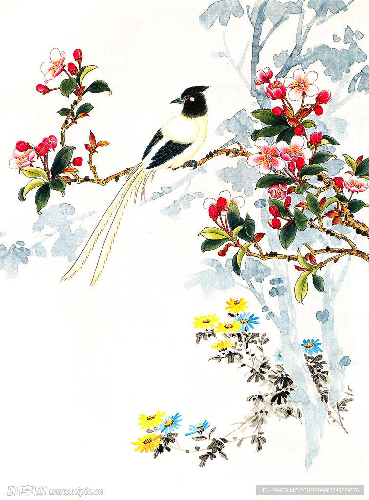 海棠花