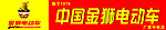 金狮电动车门头