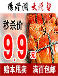 阳澄湖大闸蟹 淘宝 淘宝钻展图