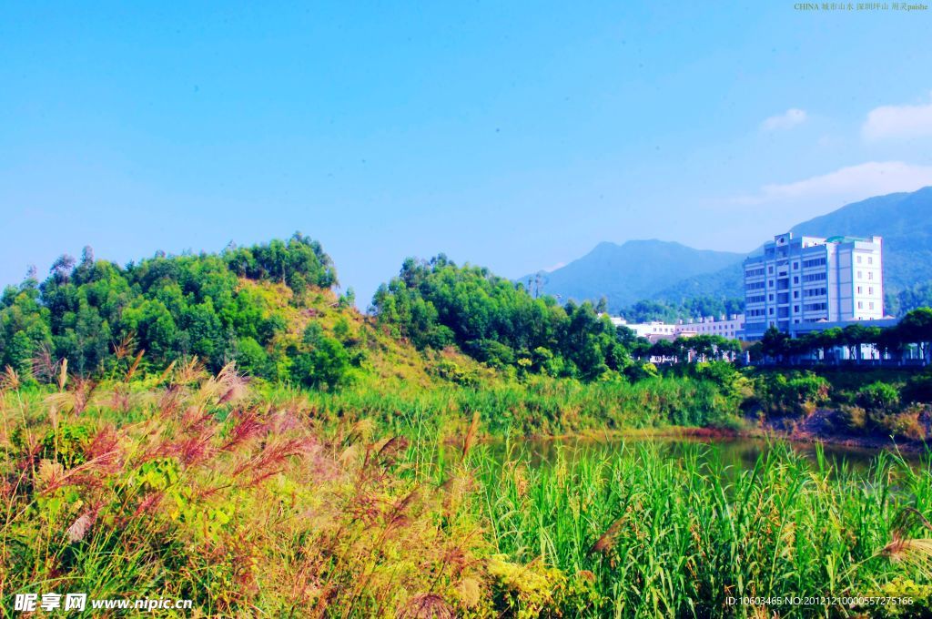 城市风景 青山绿水