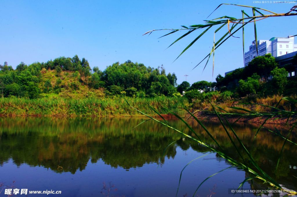 城市山水 绿色生态