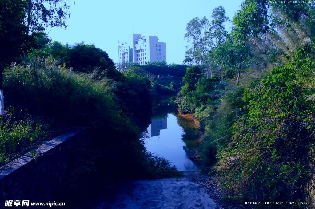 城市水库 水沟积水