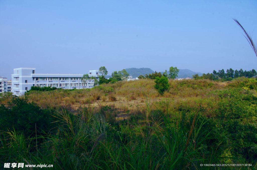 城市山水 绿色坪山