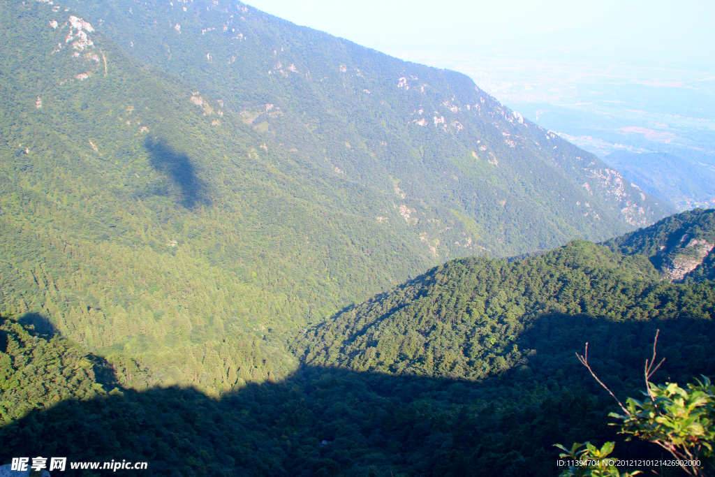青山