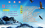 雏鹰班