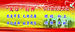 龙珍精神