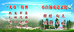龙珍精神