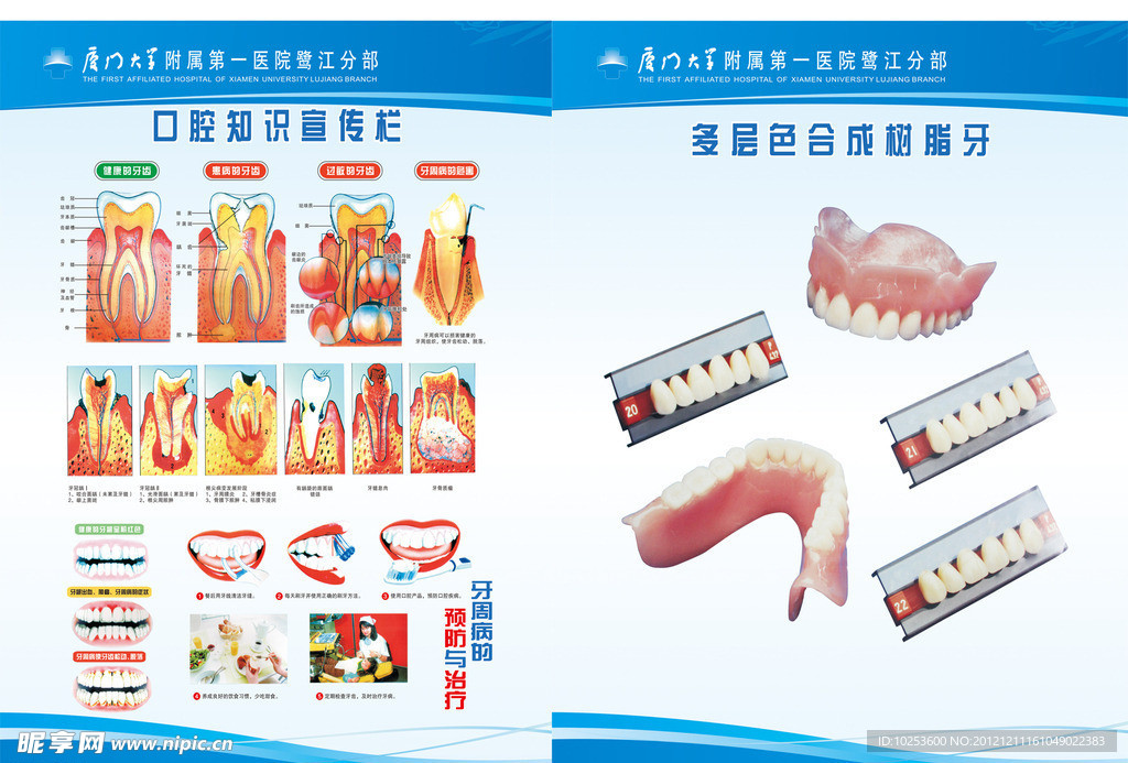 口腔知识宣传栏