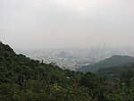 大雾