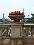 花坛