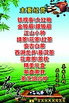 茶广告