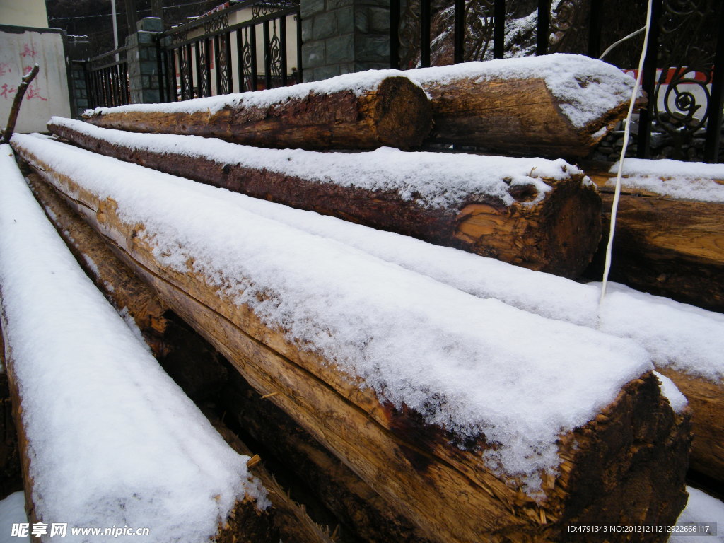 积雪的木材
