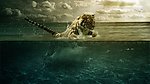 猛虎下水