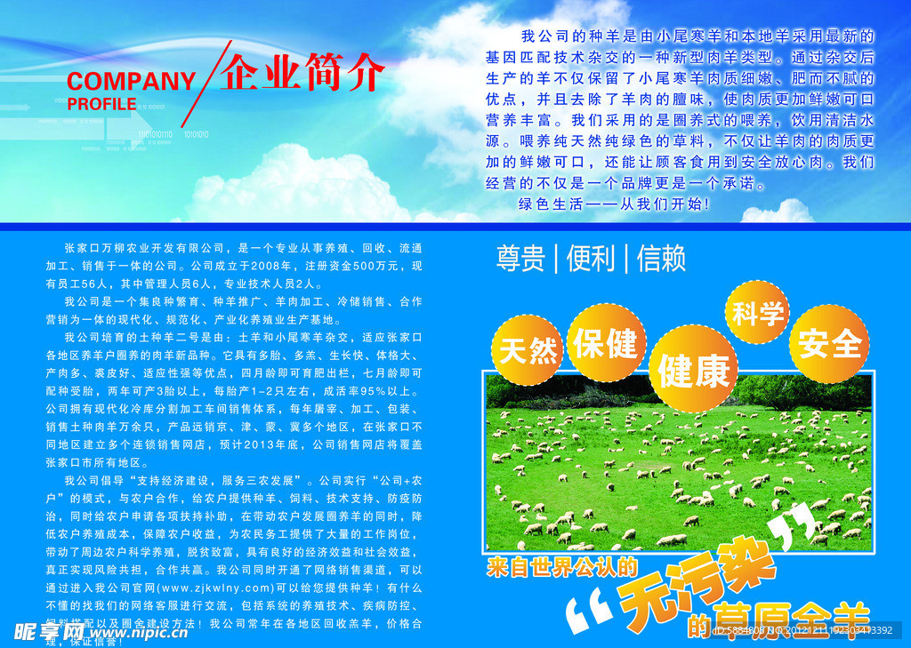 企业简介