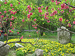 生态公园