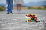 小熊