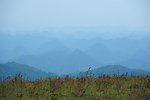 云层