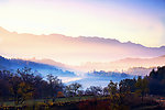 塔川风景