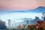 塔川风景