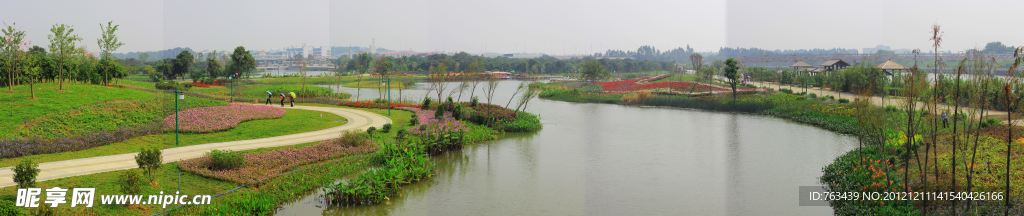 湿地湖全景